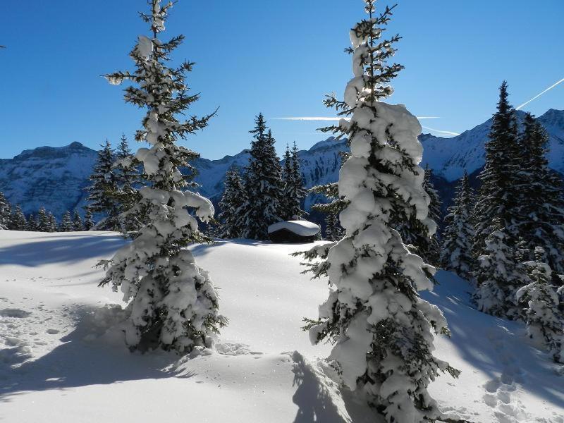 Apartment Peer Neustift im Stubaital Eksteriør billede