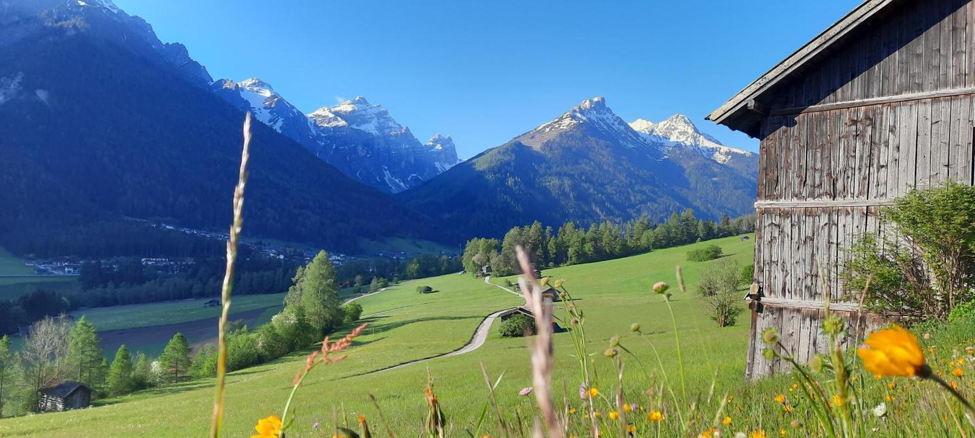Apartment Peer Neustift im Stubaital Eksteriør billede