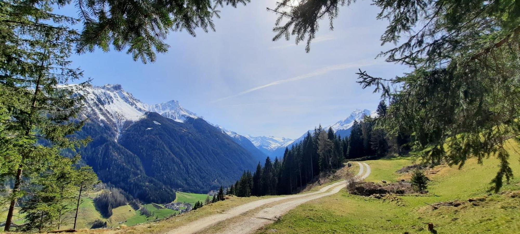 Apartment Peer Neustift im Stubaital Eksteriør billede