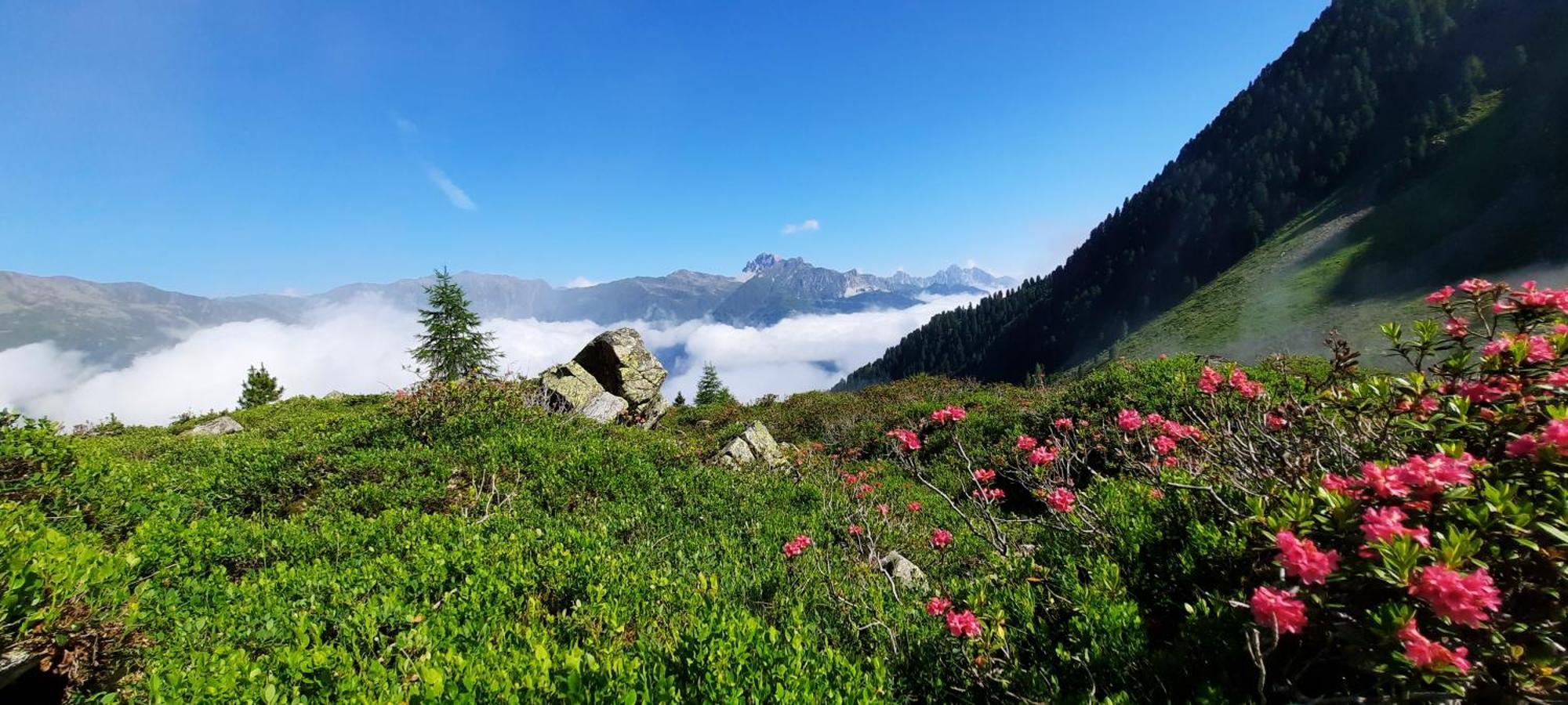 Apartment Peer Neustift im Stubaital Eksteriør billede