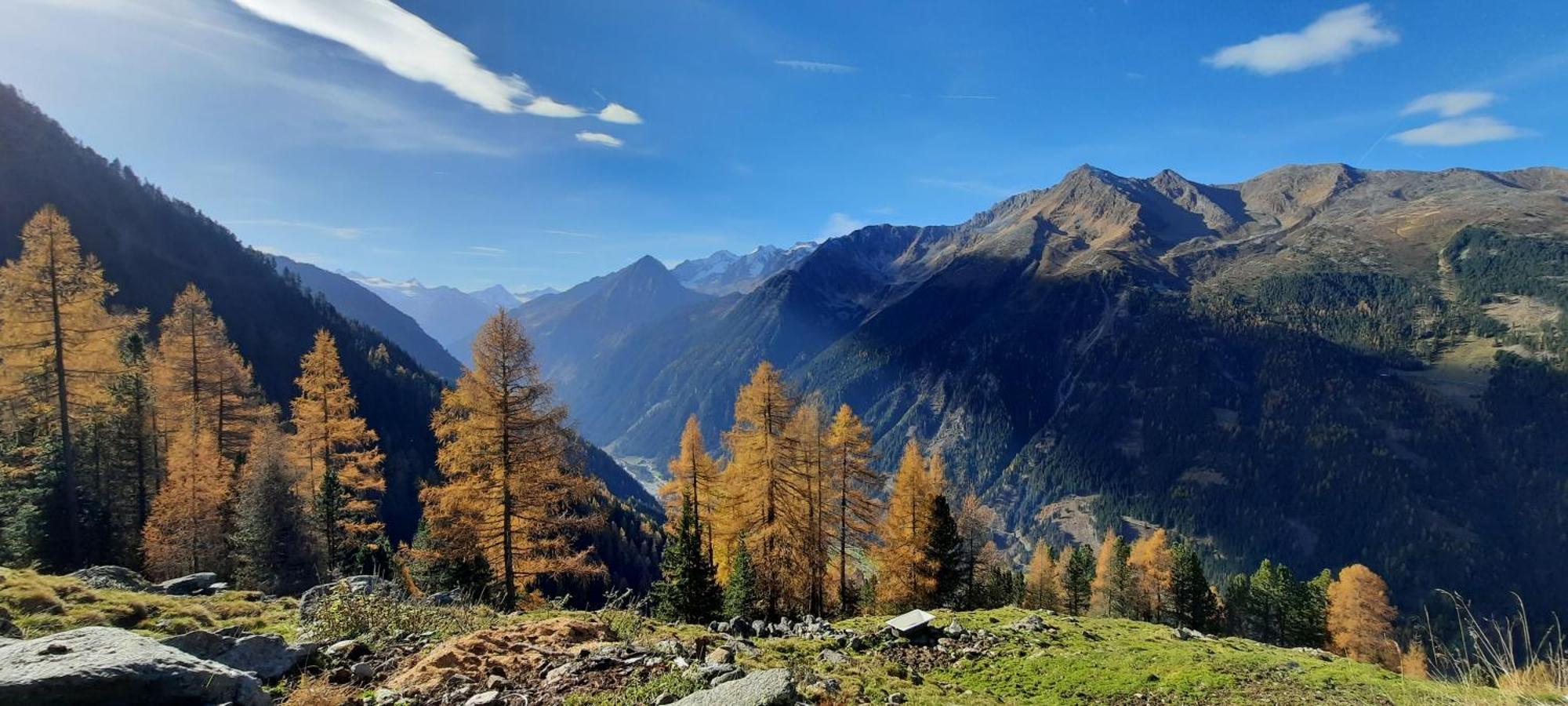 Apartment Peer Neustift im Stubaital Eksteriør billede